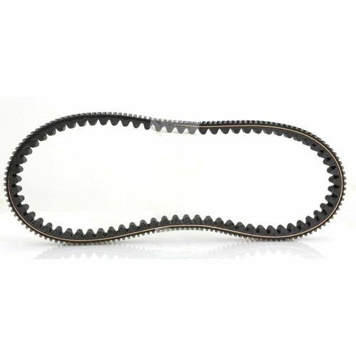 Dayco belt piaggio for - dayco, in