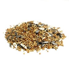 MIXED COCKATIEL & PARAKEET