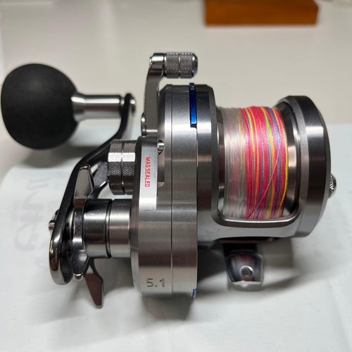 Daiwa saltiga jigging - daiwa, 15