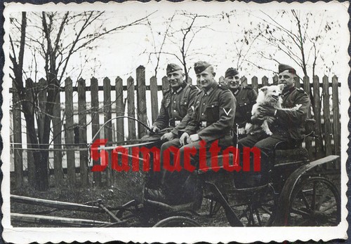 I13 ww2 photo - i13/15, of