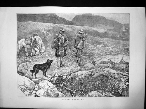 Original old antique print - antique,