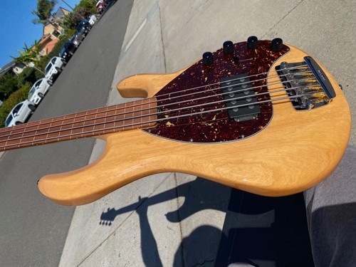 2009 ernie ball - 2009, man