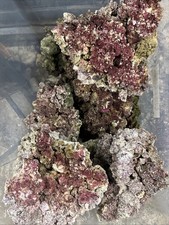 10kg Real Reef Rock Aquarium