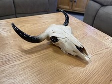 30cm Ram Bull Cow Goat Desert Wall Hanging Skull Skeleton Ornament Novelty Bust