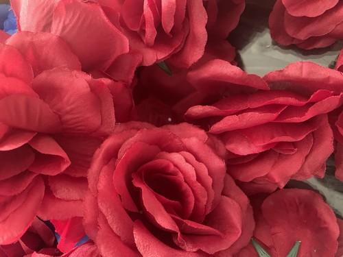 Burgundy silk rose heads - burgundy,