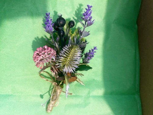 Scottish wild flower - , blue