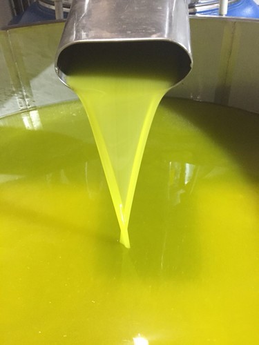 Extra virgin olive - oil, cold