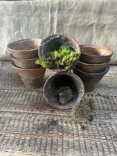 French OLD TERRACOTTA SAP POT