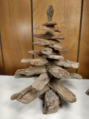 Driftwood tree lake erie - driftwood,