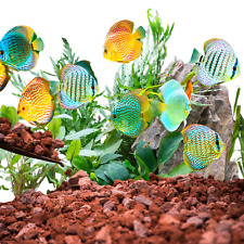 NATURAL VOLCANIC RED LAVA ROCK FOR AQUARIUMS (20-40mm) FISH TANK AQUA DECORATIVE