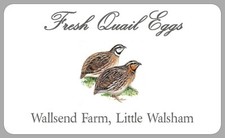 Personalised quail egg - quail,
