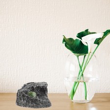 Reptile Resting Platform