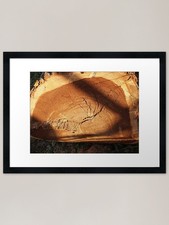 Felled tree trunk close-up