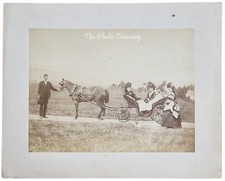 VICTORIAN ALBUMEN PHOTO HORSE