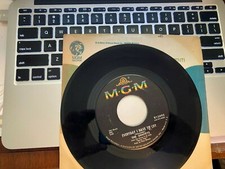 ROCK 45 RPM RECORD -THE