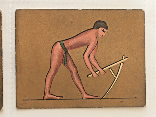 Cavanders cigarette cards - cavanders,