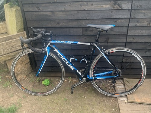 Focus izalco team small - team,