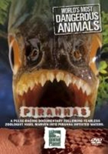 World most dangerous animals - most,