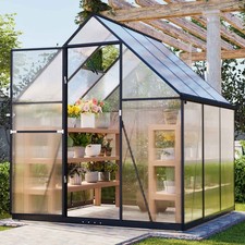 6X6FT Walk-In Greenhouse with