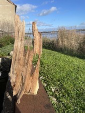 XXL Driftwood Aquarium