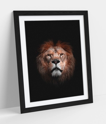 Lion head darkness - in,
