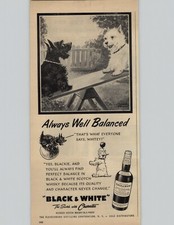 1952 Black And White Scotch
