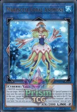1st ed Marincess Coral Anemone