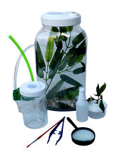 PRAYING MANTIS/STICK