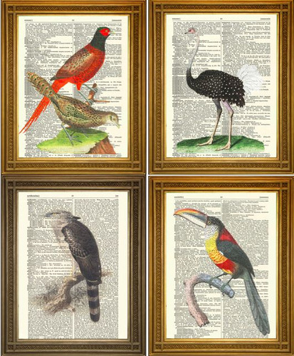 Antque bird prints ostrich - antque,