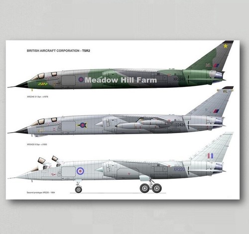 Fridge magnet bac tsr plane - bac, 2