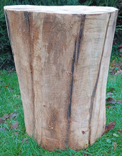 Huge tree stump table