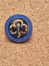 Silver Girlguiding Thanks and Recognition Badge Girl Guides