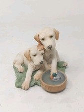 Country Artists (02262)