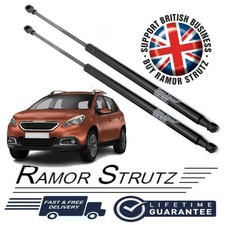 Ramor Strutz 2x Tailgate Gas