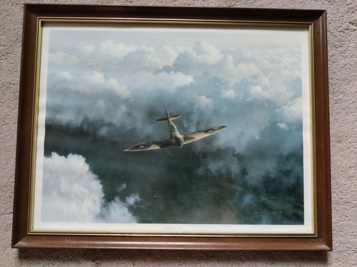 Gerald coulson evening flight - coulson,