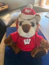 University of Wisconsin Badger