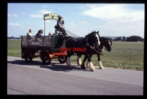 Photo radford shire cart - radford,