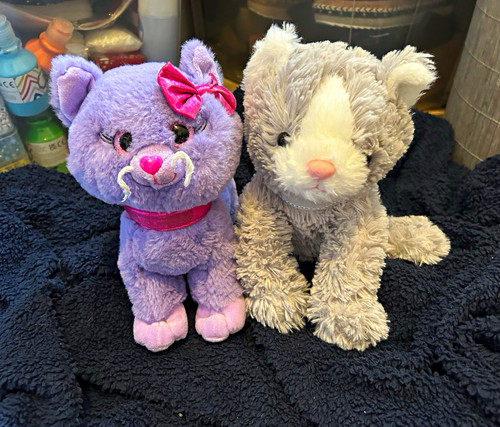 Bundle cat plush - bundle, 2
