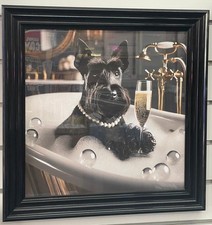 Black framed black Schnauzer
