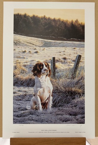 Steven townsend frosty - steven,