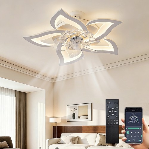 Ceiling premium fan with light - with,