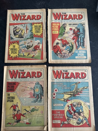 The wizard vintage - wizard,