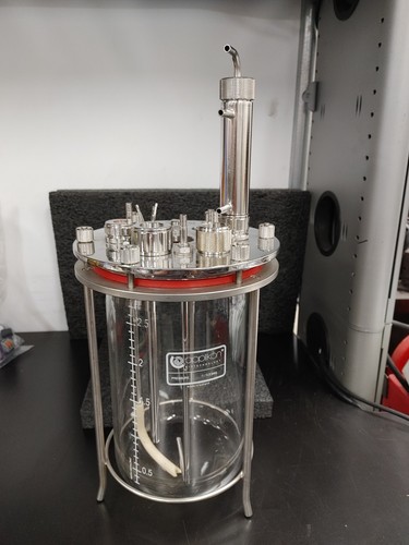 Applikon biotechnology - biotechnology, 3l