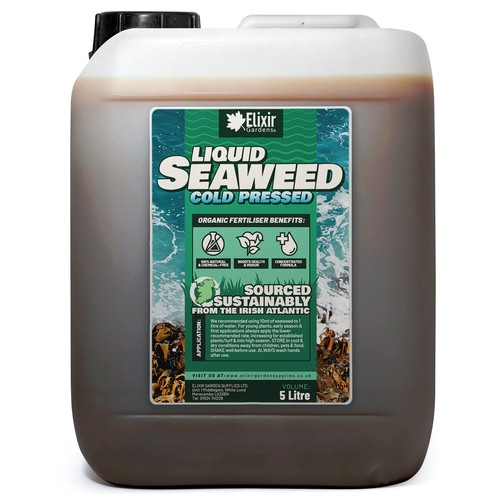 Organic liquid seaweed - liquid,