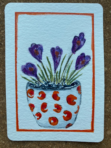Aceo original crocus wild - aceo,