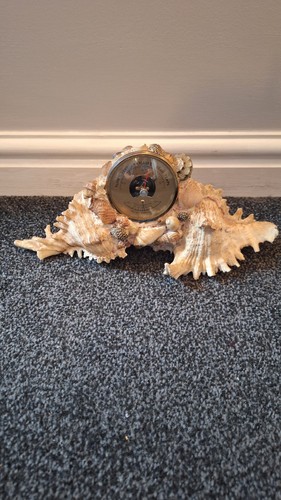 Mid century french shell - french,