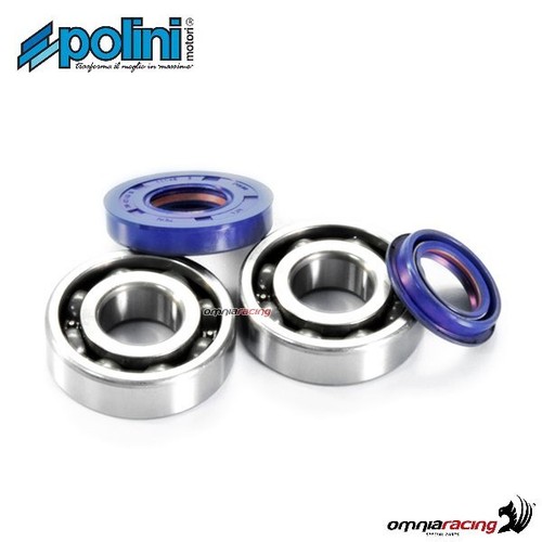 Polini crankshaft replacement
