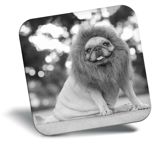 Awesome fridge magnet - fridge, bw