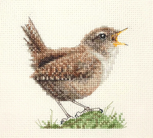 Singing wren garden bird - singing, bird,