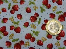 fat quarter cotton poplin with